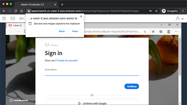 Sign into with your Adobe ID