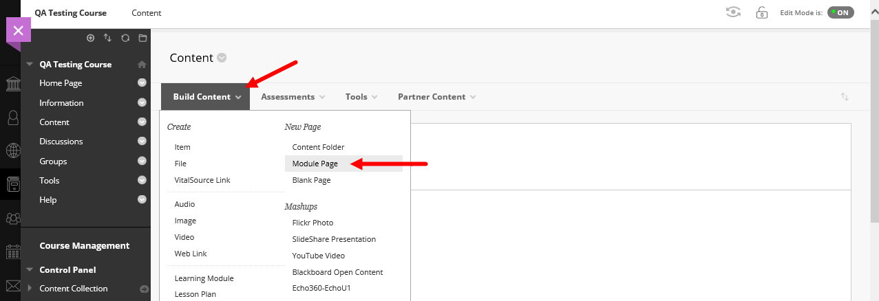 Blackboard course content with add module page option shown