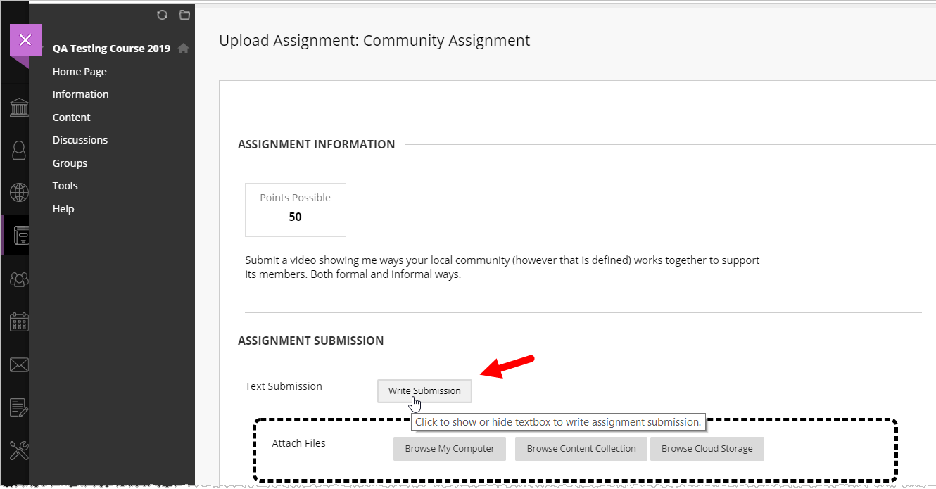 Student assignment submission page with Write Submission button identified as described