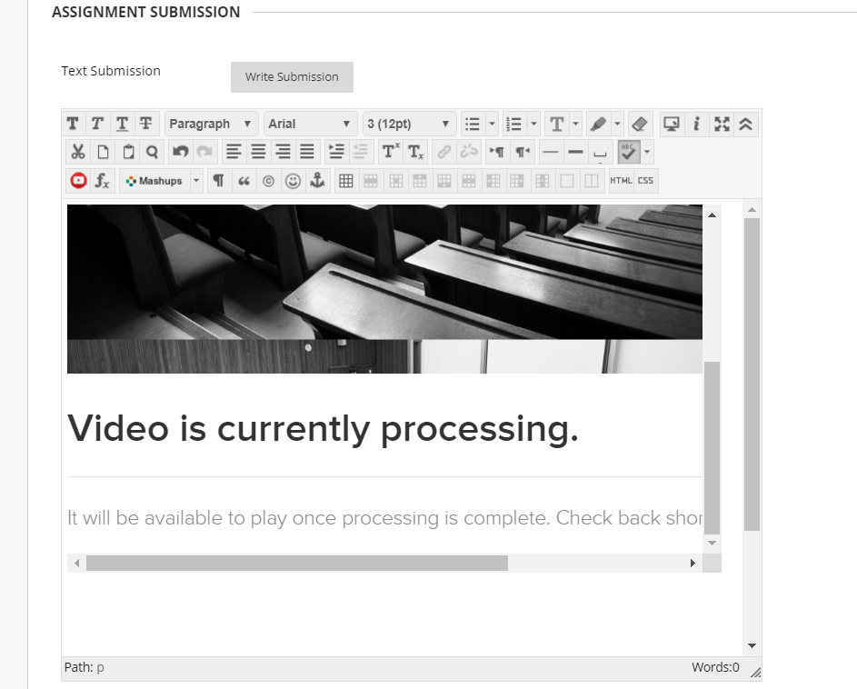 Assignment text submission content window with selected video embedded as described