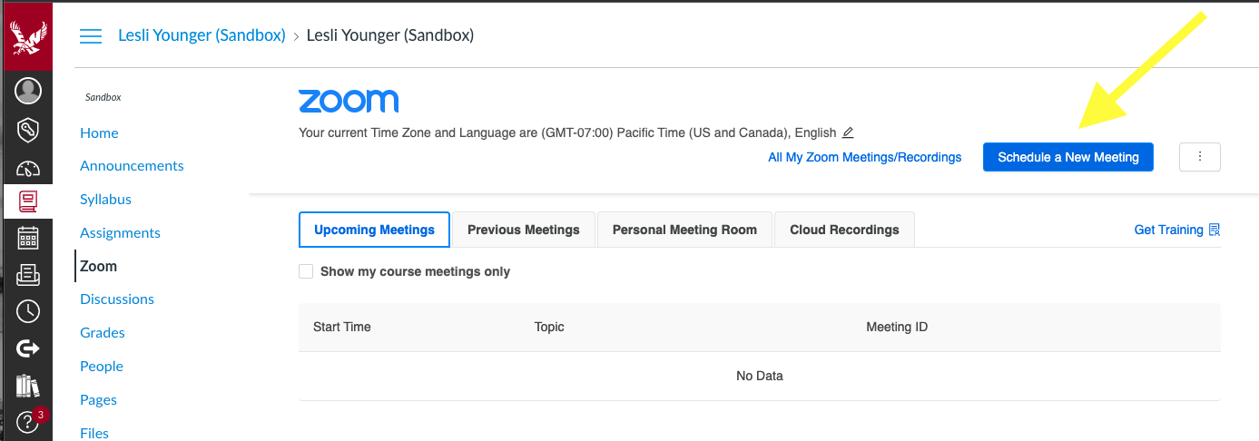 Screenshot highlighting 'Schedule a New Meeting' button in upper right corner