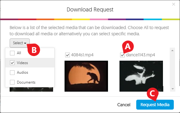 select the videos you would like to download & click 'Request Media'