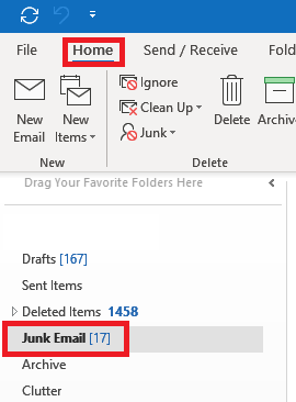 Highlighting the Home button in the navigation and the Junk Email folder