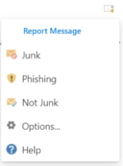 Report Message from Outlook via the POrtal