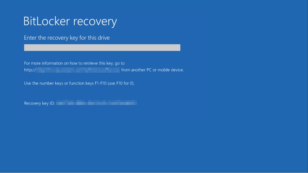 BitLocker Recovery Screen Image