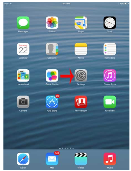 iPad Settings Icon