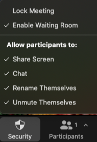 Zoom Meeting Security and Participant In-Meeting controls screenshot