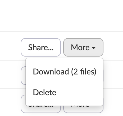 screenshot of. more button with dropdown revealing download and delete options