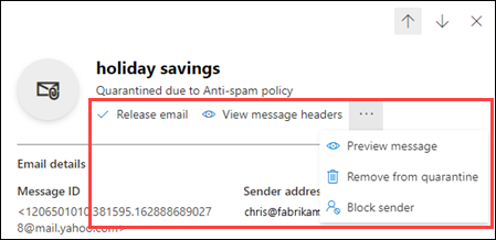 Available actions in the details flyout of a quarantined message.
