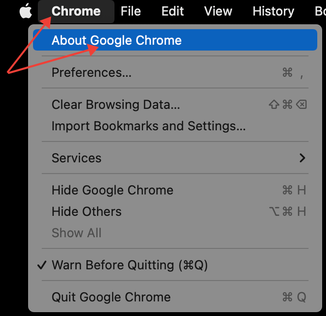 Google Chrome menu options