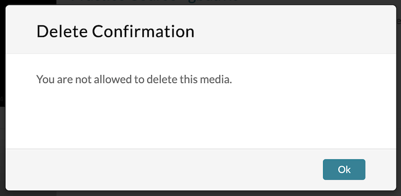 A screenshot of an error message: "You are not allowed to delete this media."