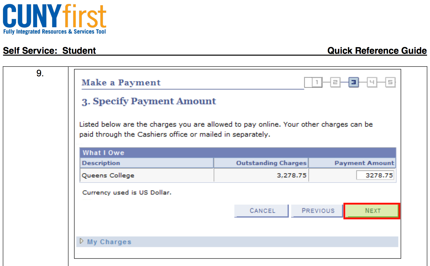 Make an Online Payment 6