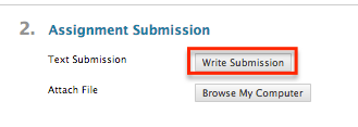under the Assignment Submission, click Write Submission button