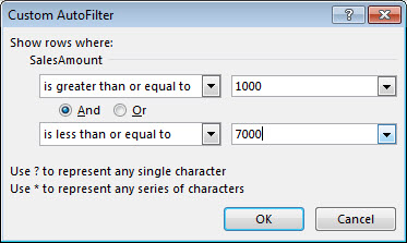 Custom AutoFilter dialog box