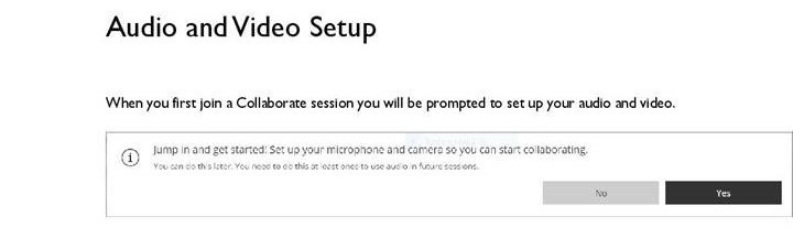 When you first join a Collaborate session you will be prompted to set up your audio and video