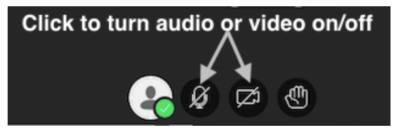 By default, your audio and video feeds are hidden and muted after you complete the setup. Select the microphone and camera icons to begin full meeting participation.