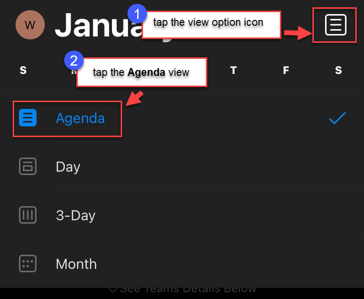 Tap the View Options icon in the upper right corner, the tap Agenda view.