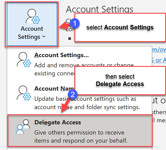 Click Account Settings, and then click Delegate Access
