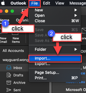 Click File then click on Import