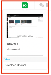 video options within echo app in Canvas, showing 'Download Original' and if the video was viewed or not.
