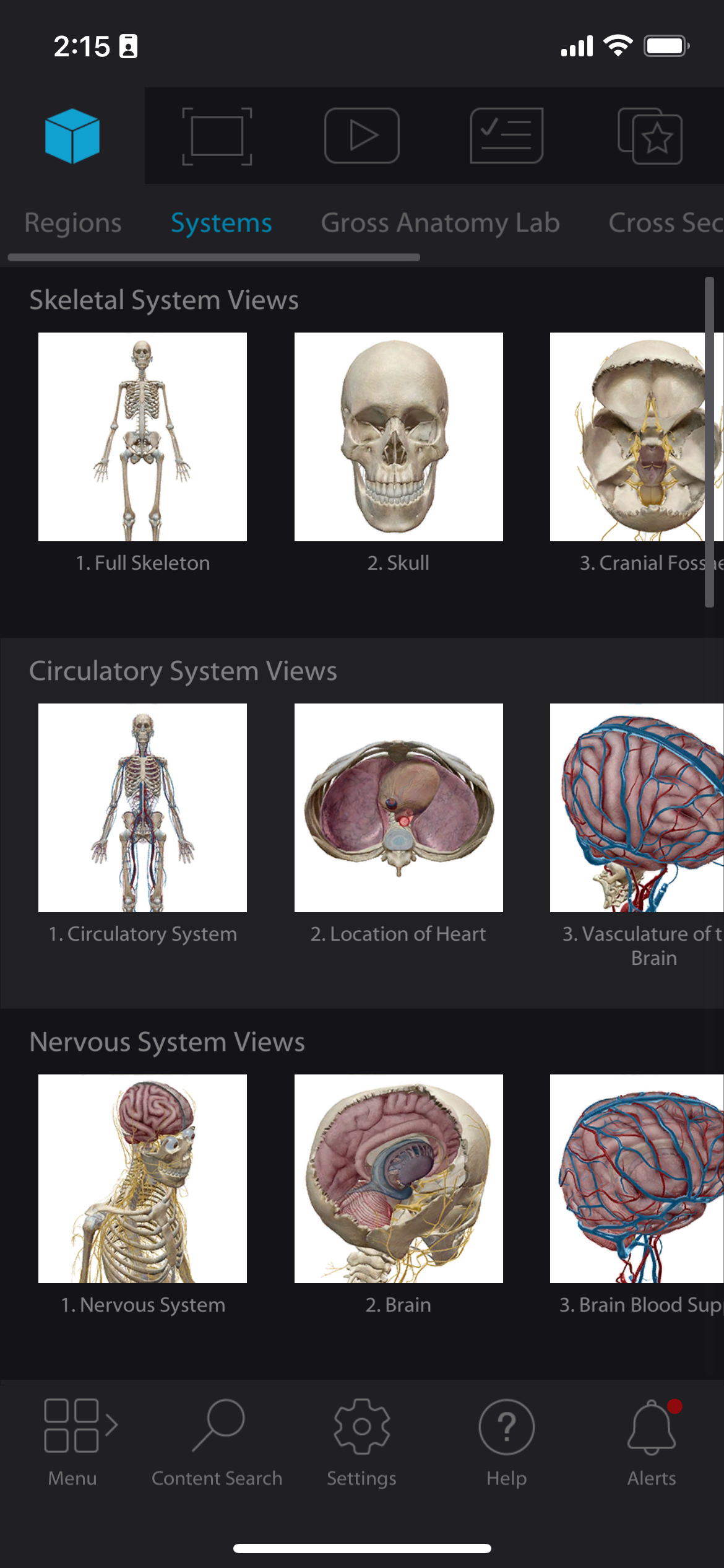 Human anatomy atlas mobile interface