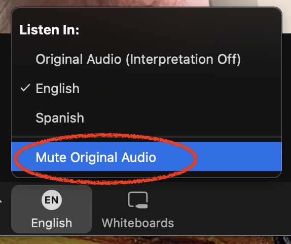 Mute original audio button found within the interpretation menu