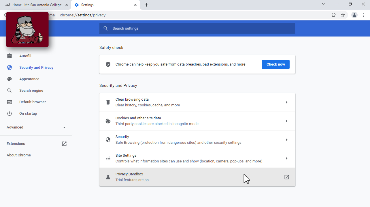 Chrome settings tab after finishing the process