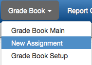 grade book menu with new assignment selected