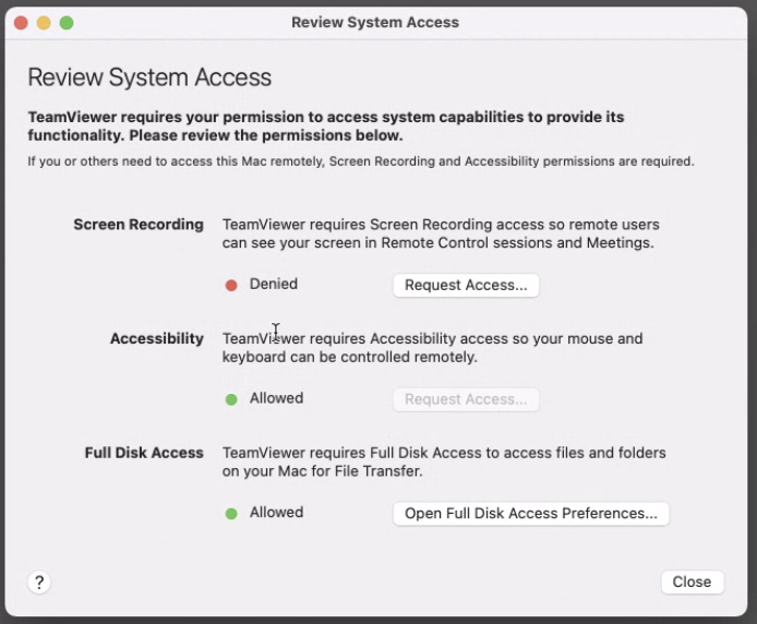 TeamViewer dialog asking for system access