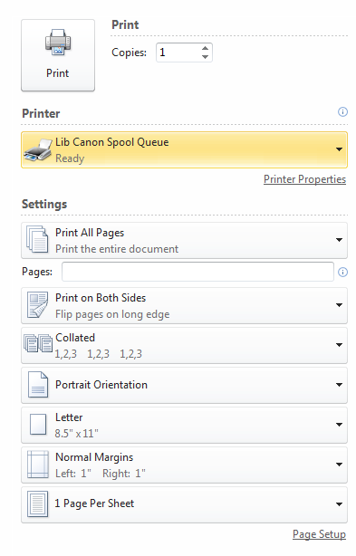screenshot of printer properties