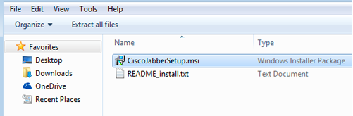 Screenshot of Windows Installer Package