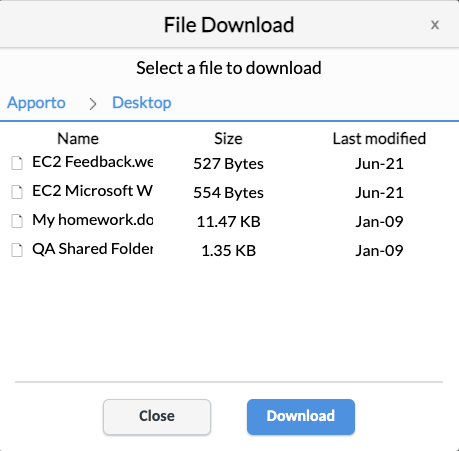 Screenshot of AppSpace File Download dialog box