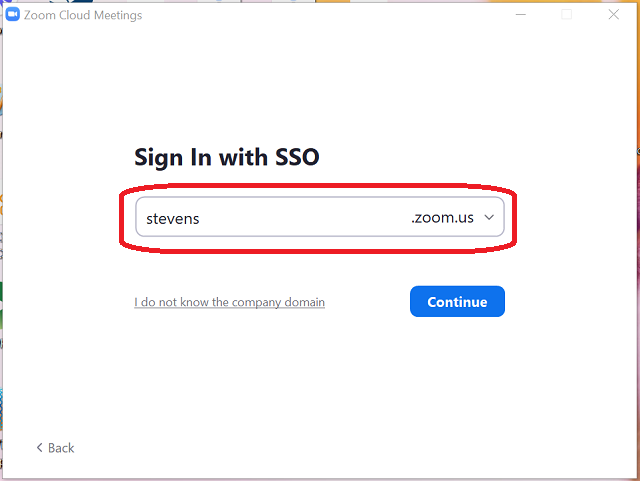 Sign in with SSO Window