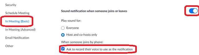 In Meeting (Basis) Settings, Ask to record their voice to use as notification check box