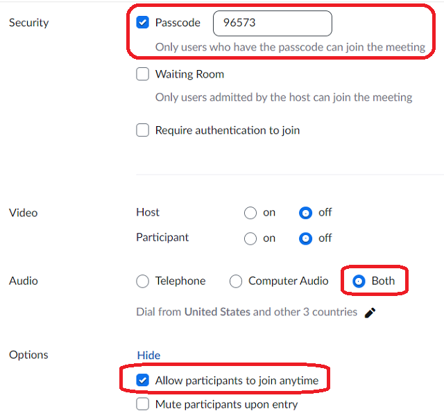 Creating a meeting option window, security, video, audio and options