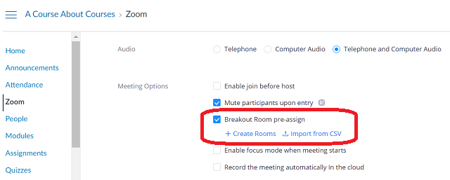 Zoom canvas tab, meeting options show multiple check boxes. The Breakout Room pre-assign check box should be checked
