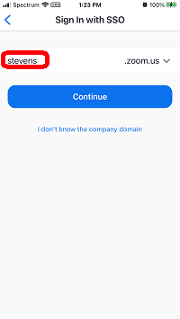 Company Domain SSO Screen