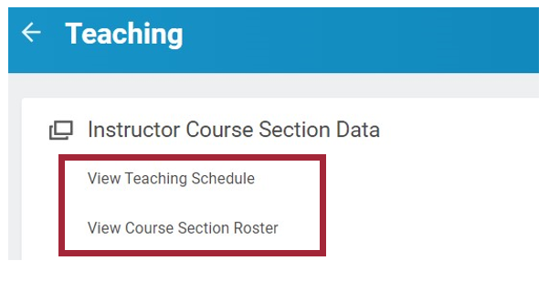 The Instructor Course Section Data section of the Workday Teaching Worklet. The View Teaching Schedule and View Course Section Roster options are highlighted.