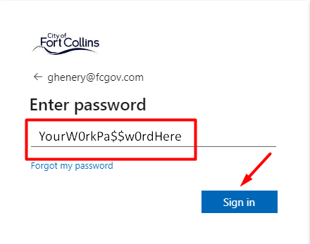 enter your password and then click Sign in.