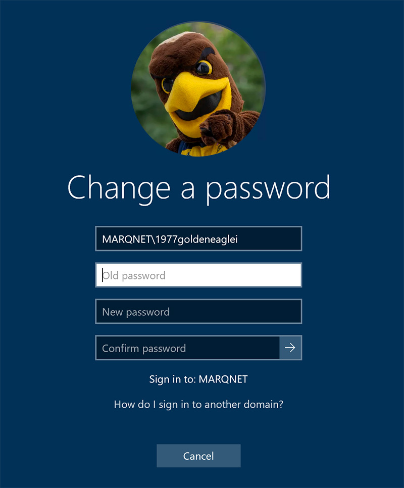 This window opens with your username, to enter your old password, a new one, and to confirm the new one